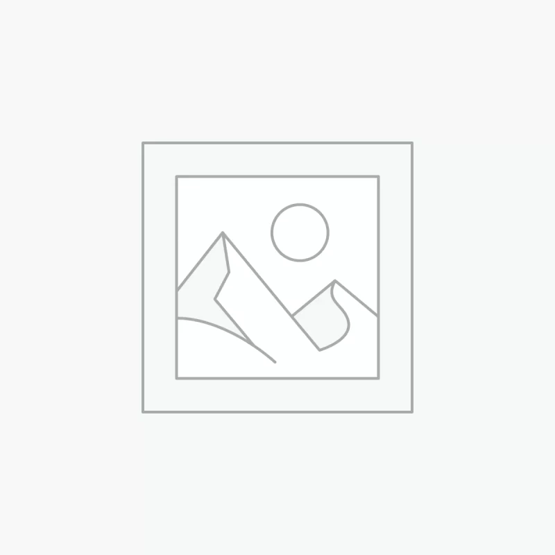 375G N2O Cream Charger Bulk